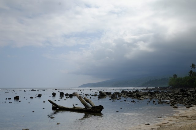 Taveuni: Lavena Coastal Walk 10