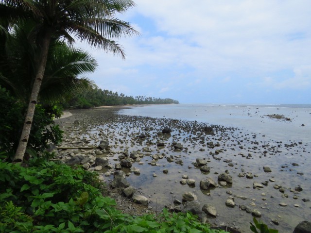 Taveuni: Lavena Coastal Walk 11