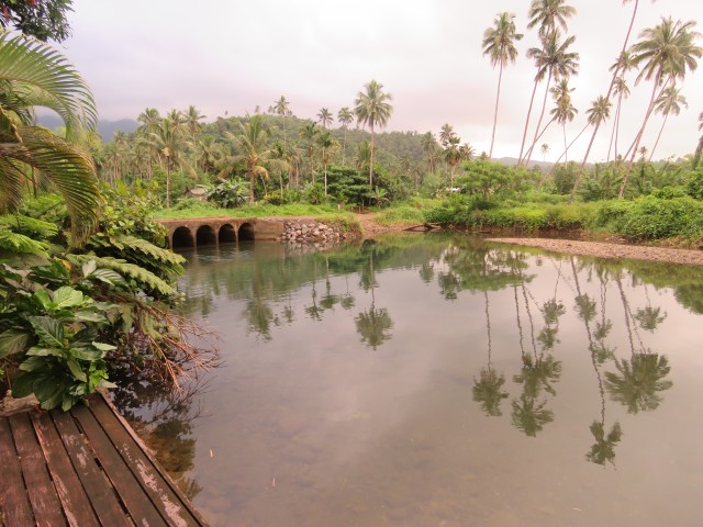 Taveuni: Lavena Coastal Walk 14 (Tavoro)