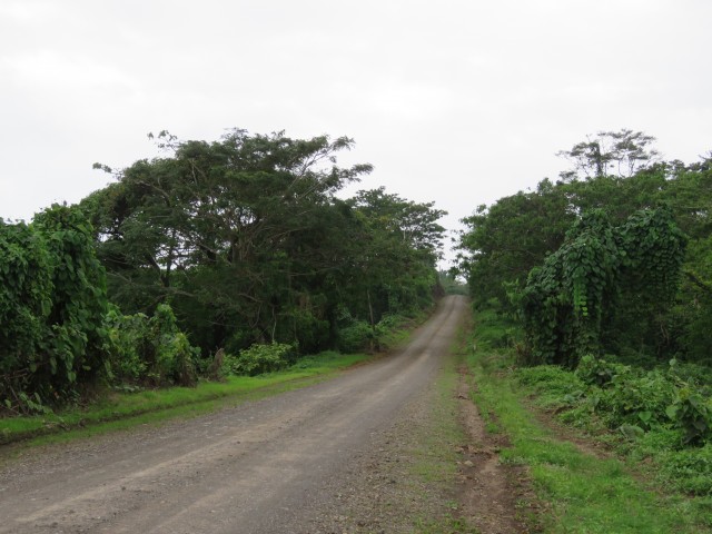 Taveuni: Gravel Roads 6
