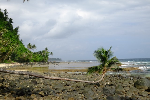 Taveuni: Lavena Coastal Walk 17