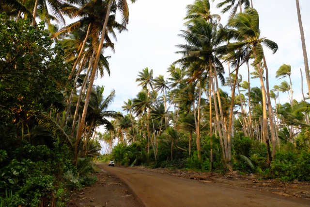 Taveuni: Gravel Roads 7