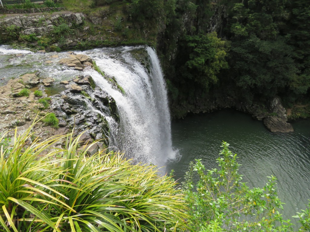 NZ: Whangarei-Falls 1