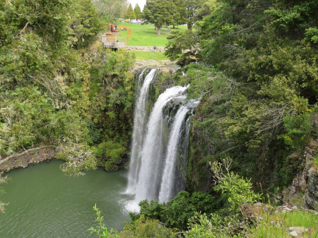 NZ: Whangarei-Falls 2