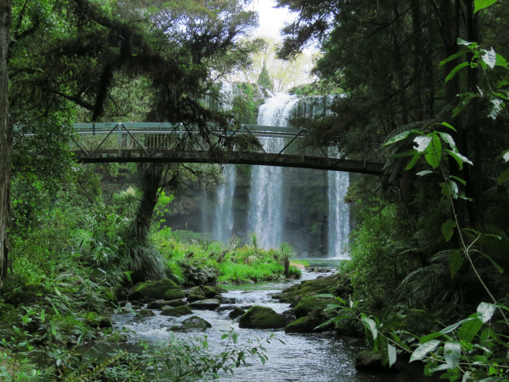 NZ: Whangarei-Falls 3