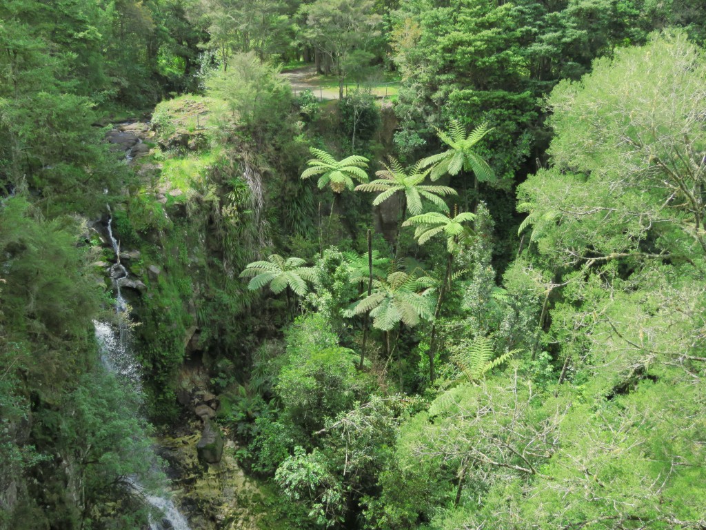 NZ: Whangarei - Weiterer Wasserfall