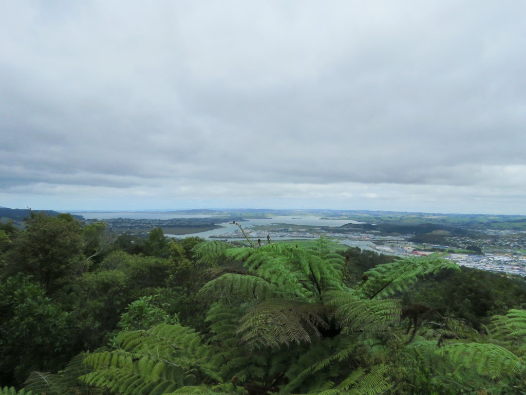 NZ: Whangarei-Aussichtspunkt 1