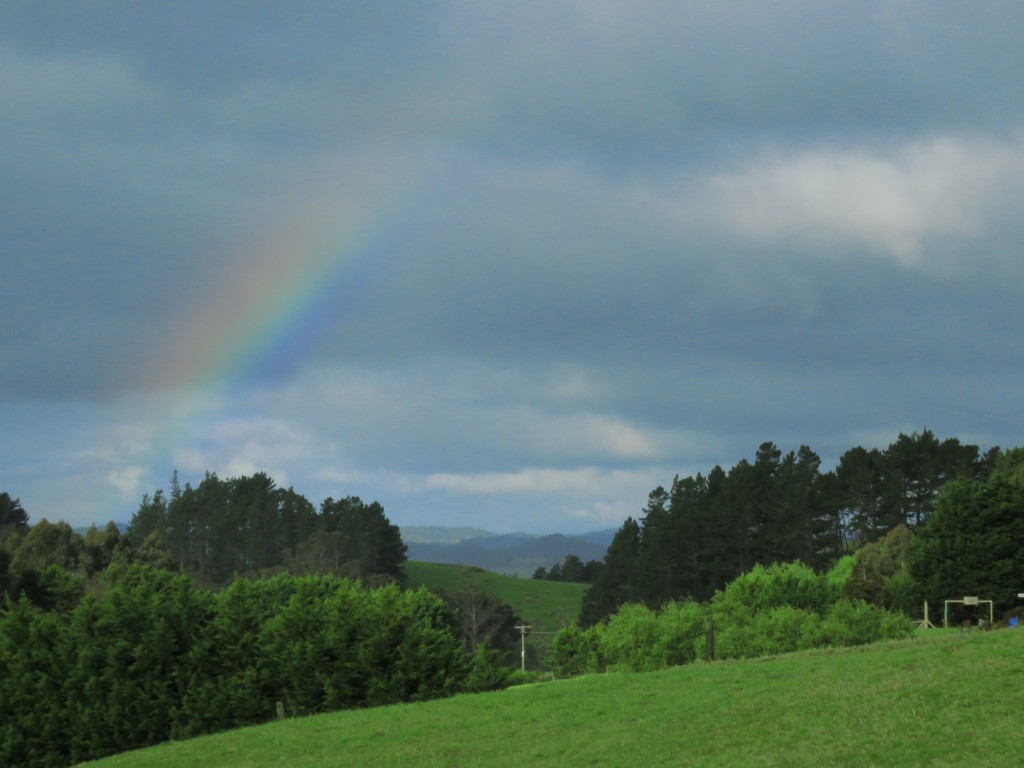 NZ: Regenbogen