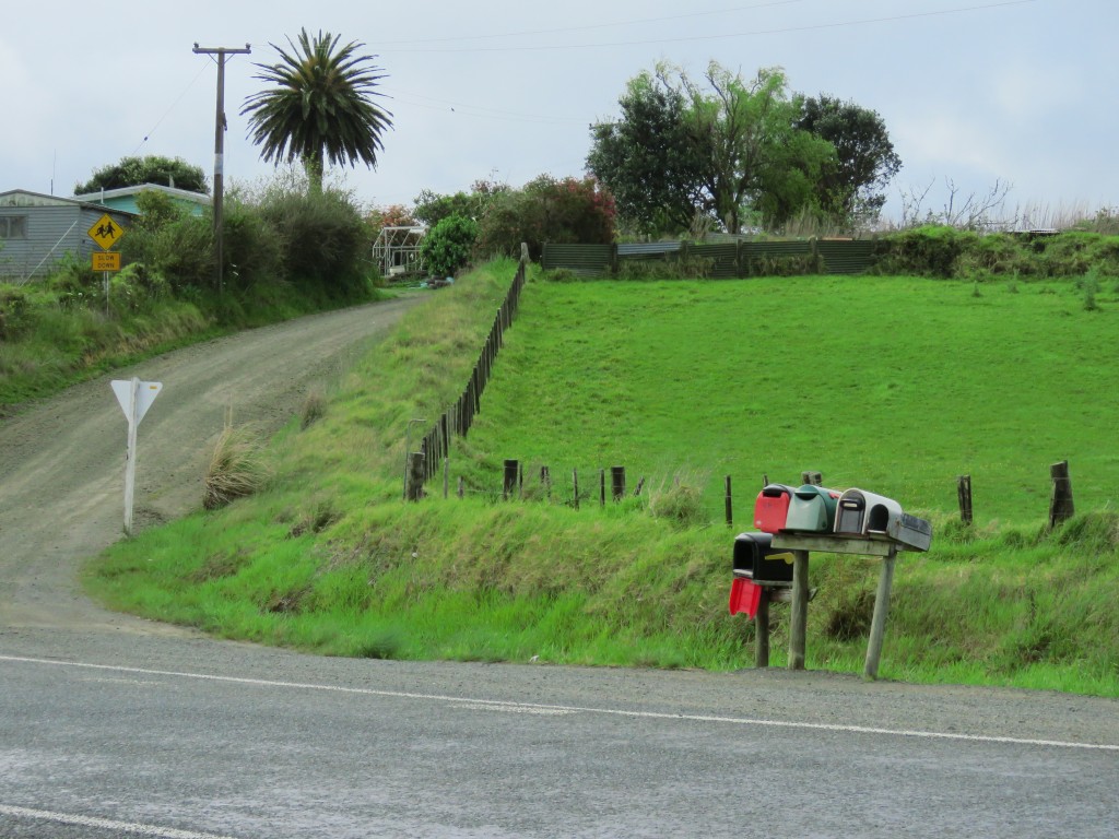 NZ: Bunte Briefkästen