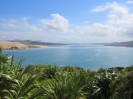 NZ: Hokianga Harbour 2