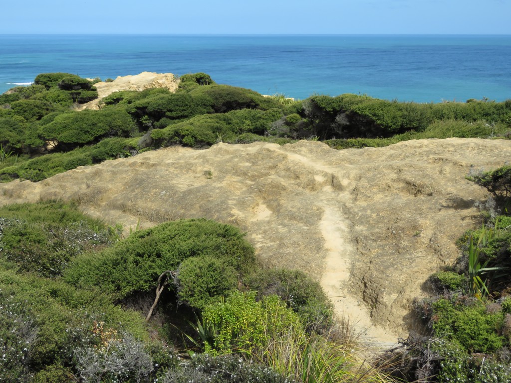 NZ: Hokianga Harbour 4