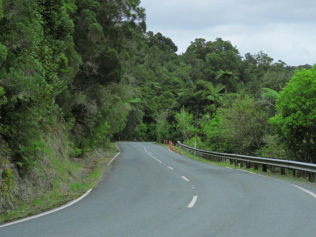 NZ: Waipoua SH12