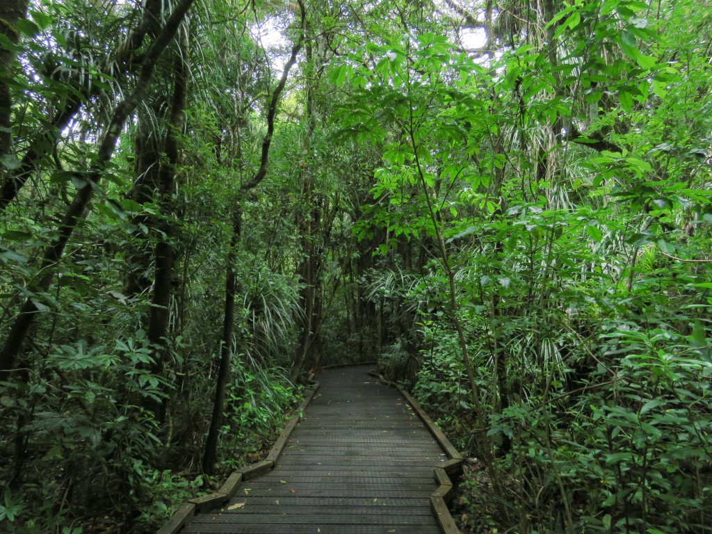 NZ: Waipoua Planken