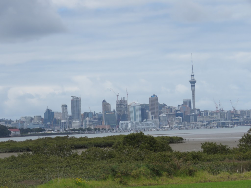 NZ: Auckland Skyline