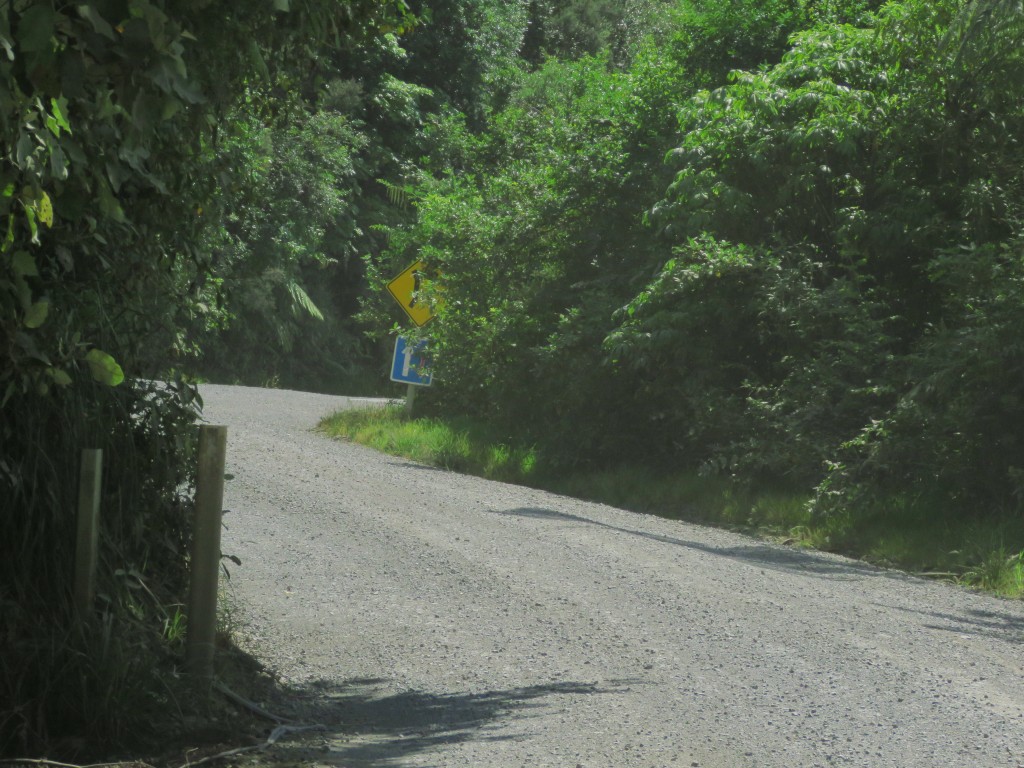 NZ: 309 Road 2