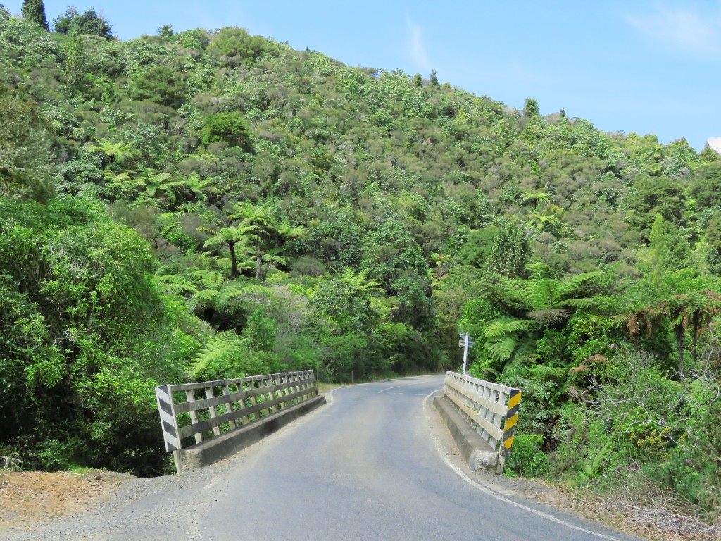 NZ: 309 Road 3