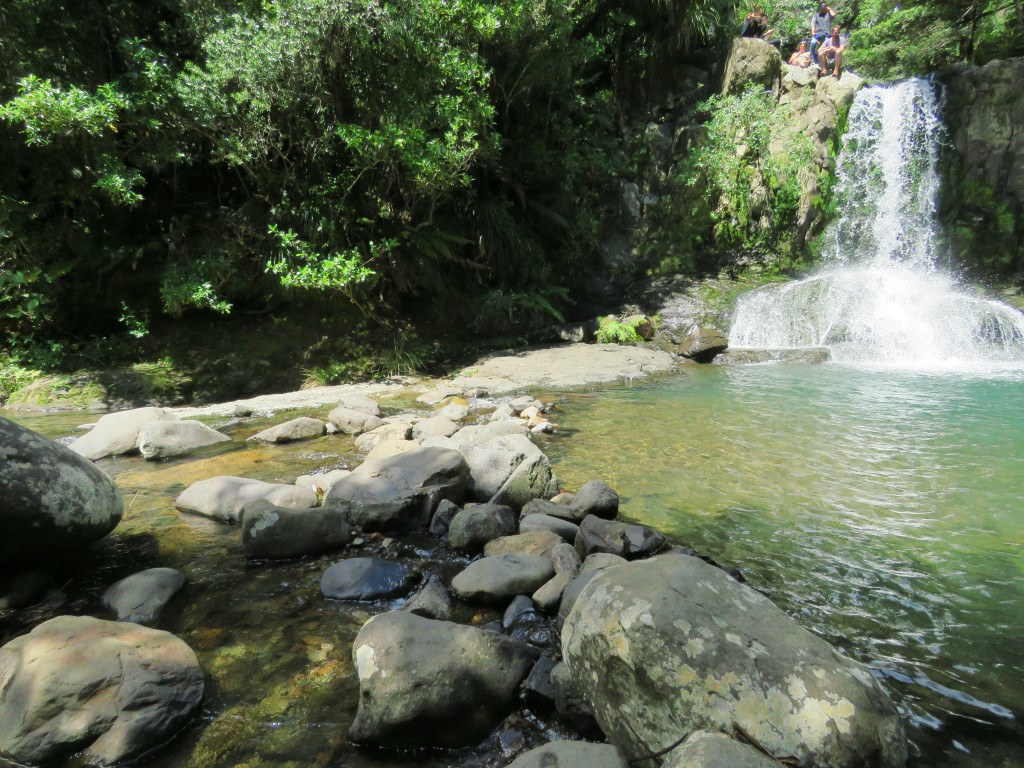 NZ: 309 Waiau Falls 2