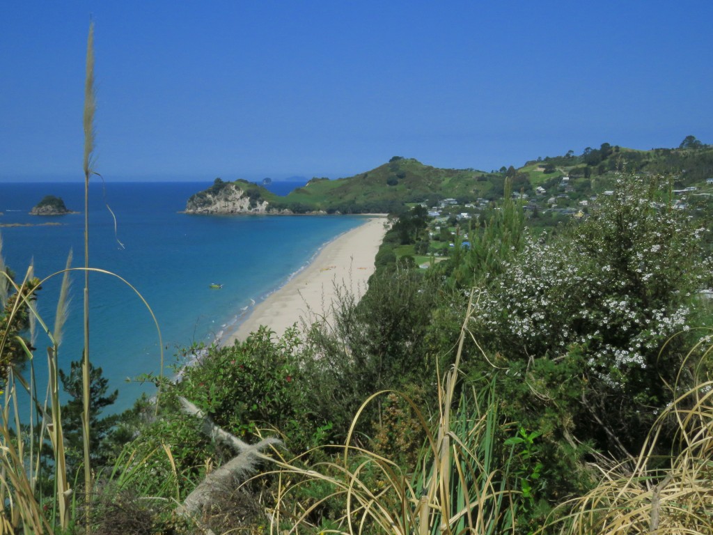 NZ: Hahei - Strand