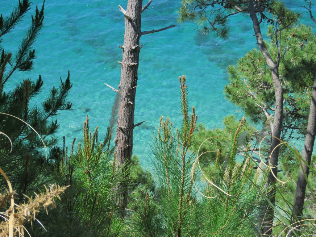 NZ: Hahei - Klares Wasser