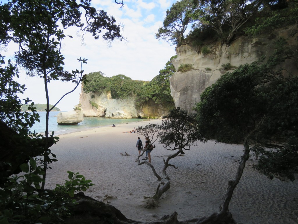 NZ: Cathedral Cove 4