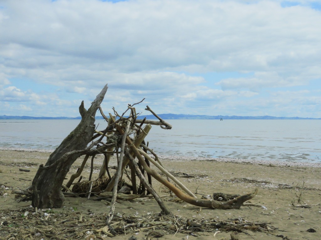 NZ: Coromandel Strand