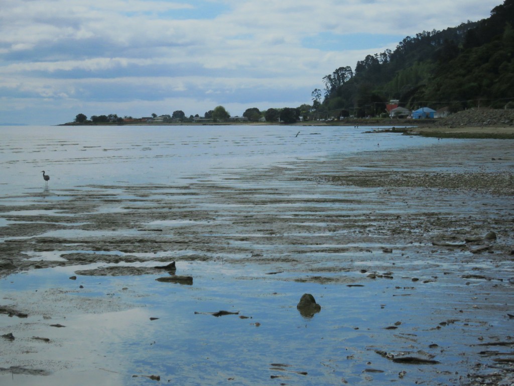 NZ: Thames Strand 2