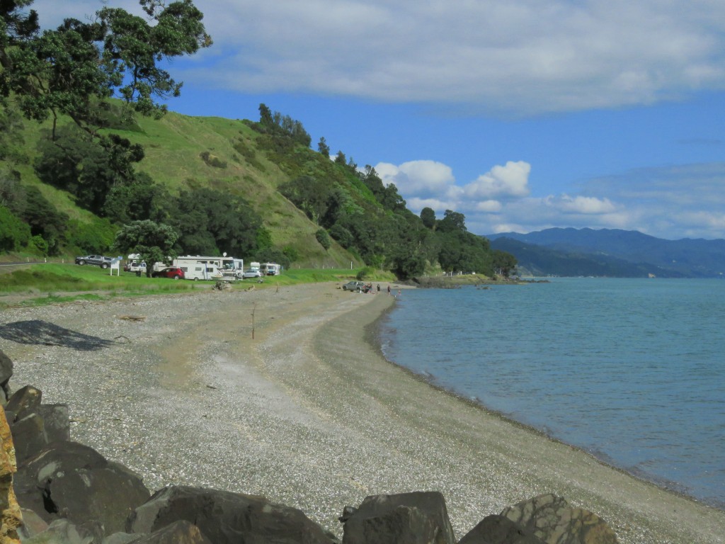 NZ: Coromandel Küste 2