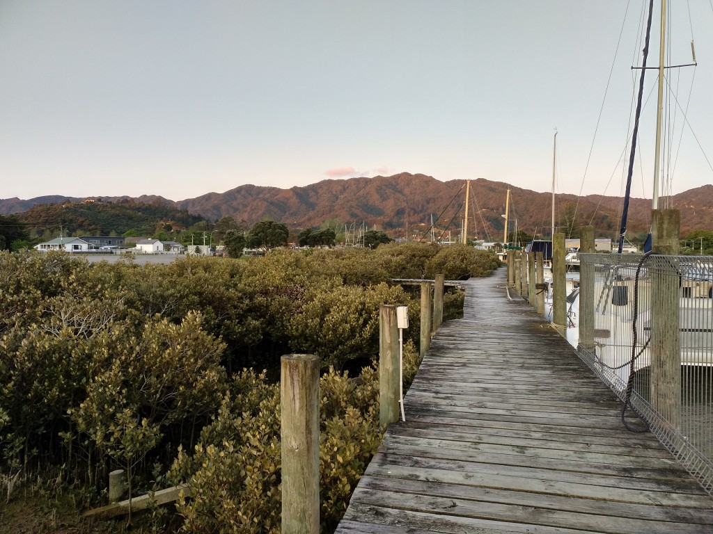 NZ: Coromandel Sundown 4