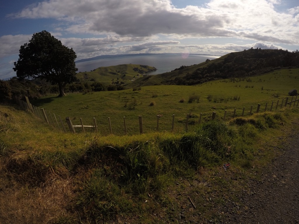 NZ: Manaia Road Saddle and Lookout 5