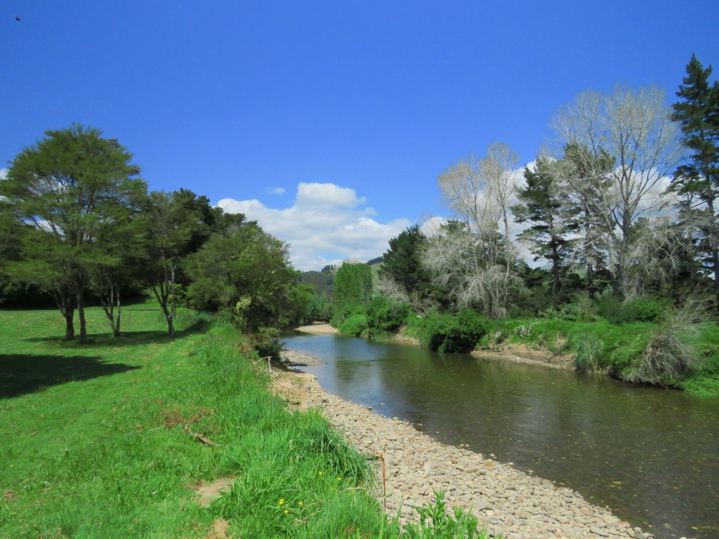 NZ: Coroglen Waiwawa River