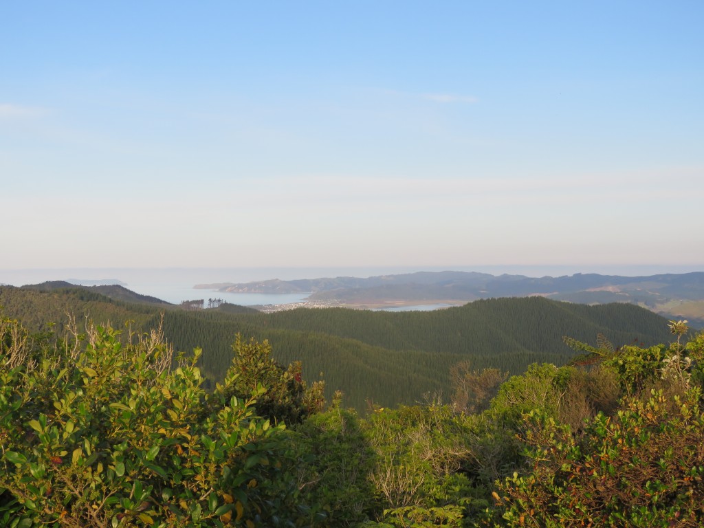 NZ: Blick nach Kuaotunu