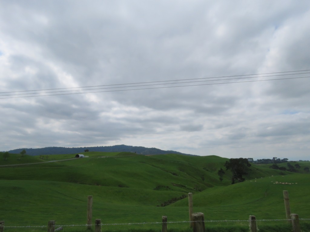 NZ: Hobbiton - Hinter dem Hügel