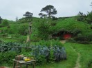 Hobbiton-Tour 005