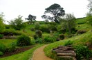 Hobbiton-Tour 019