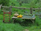 Hobbiton-Tour 021