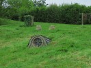 Hobbiton-Tour 029