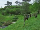 Hobbiton-Tour 030