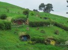 Hobbiton-Tour 031