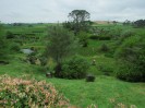 Hobbiton-Tour 034