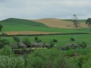 Hobbiton-Tour 035