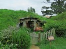 Hobbiton-Tour 051