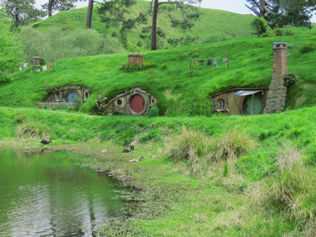 Hobbiton-Tour 068