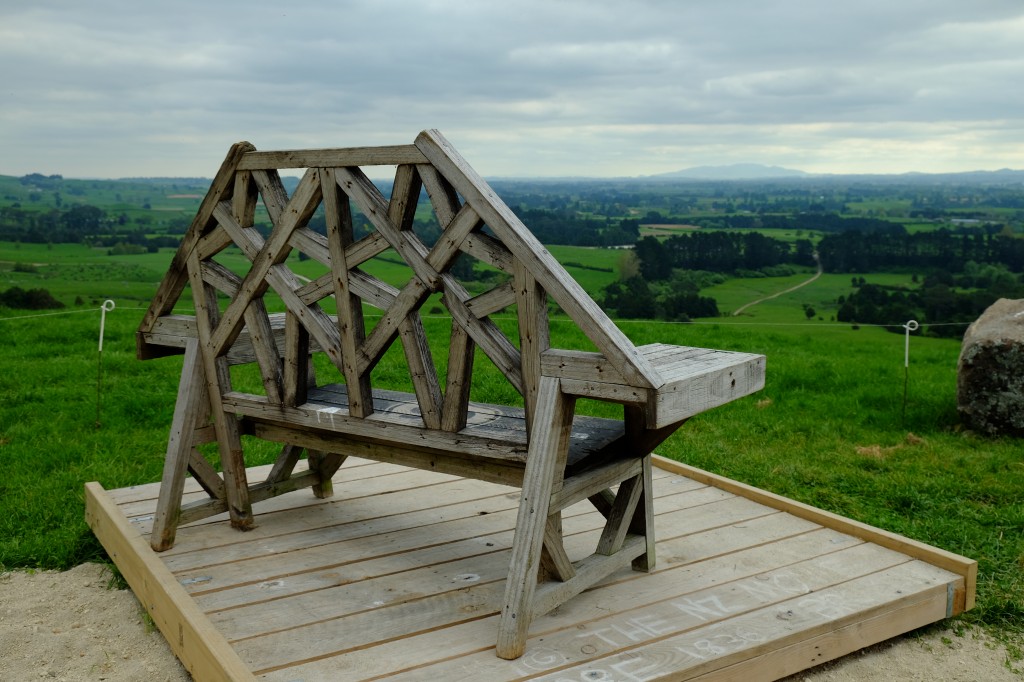 NZ: Wairere-Falls 6 - Paddock