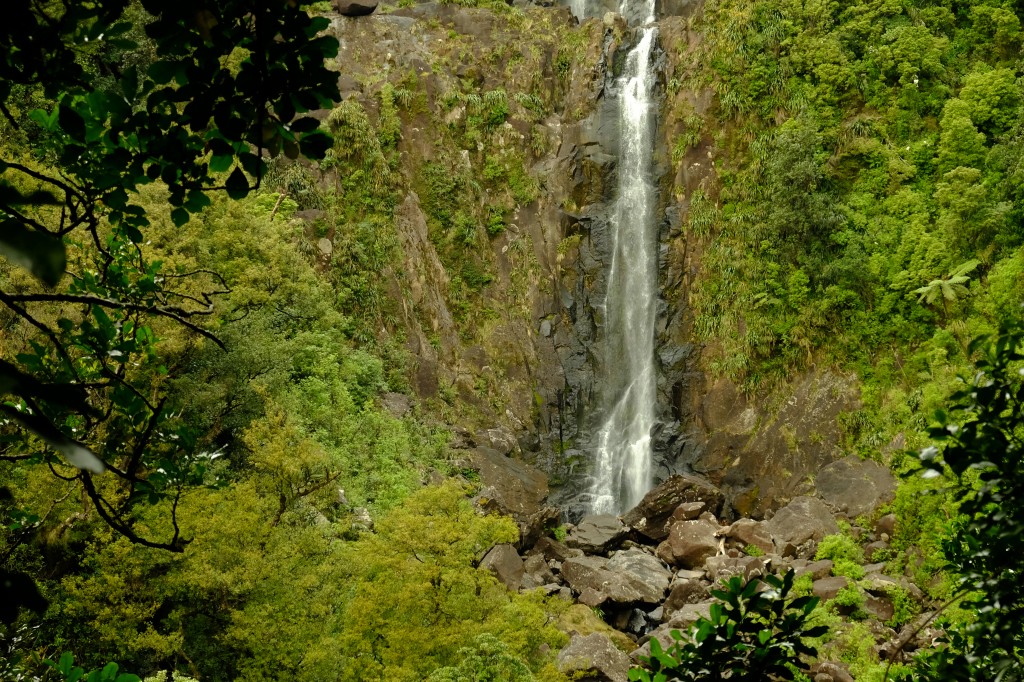 NZ: Wairere-Falls 10 - Untere Plattform