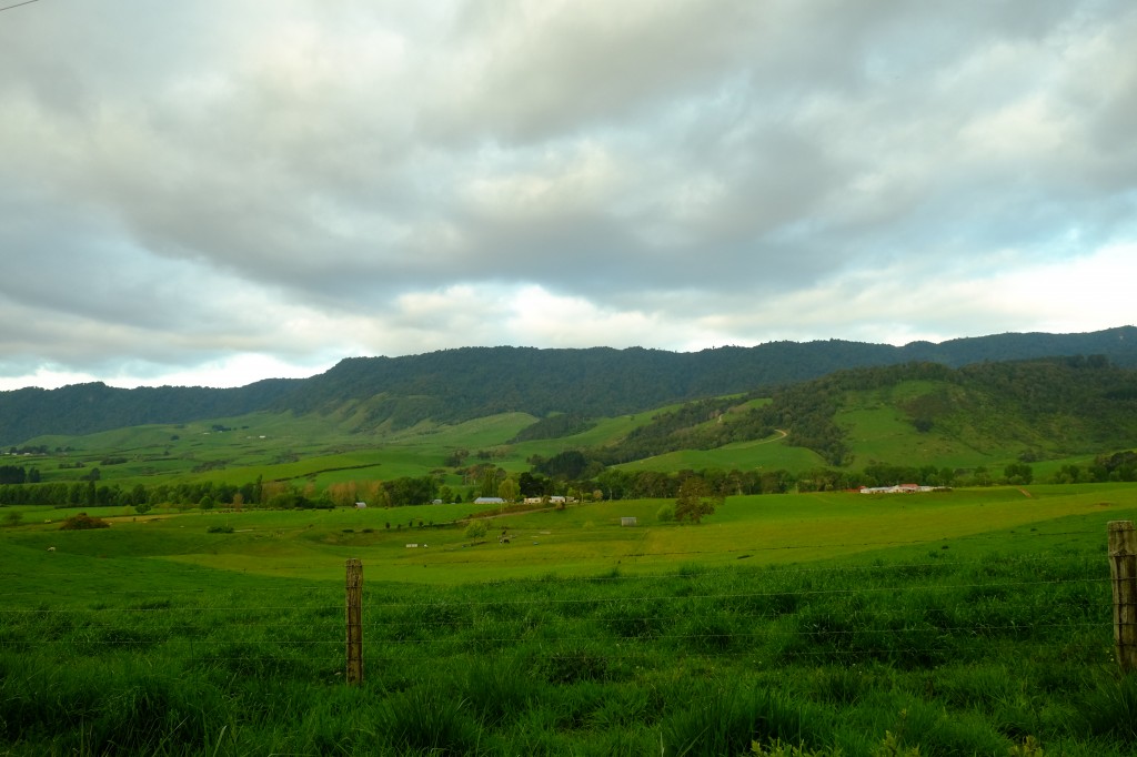 NZ: Sonnenuntergang bei Okauia 001