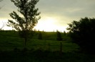 NZ: Sonnenuntergang bei Okauia 003