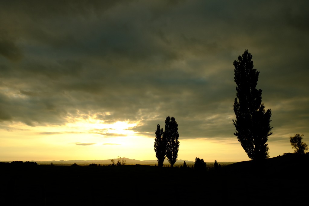 NZ: Sonnenuntergang bei Okauia 007