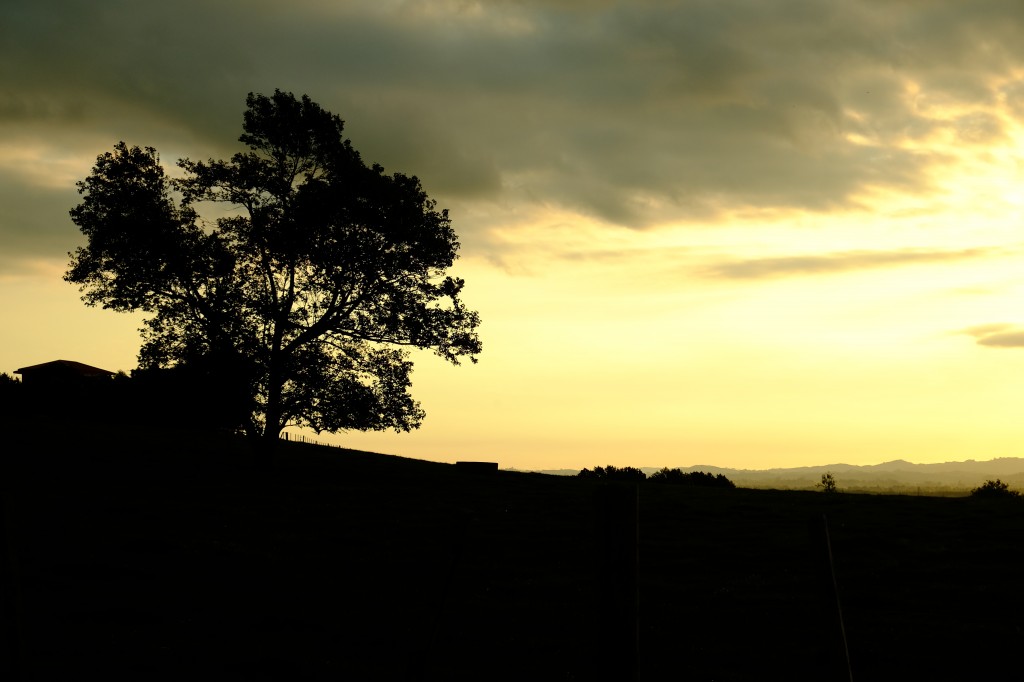 NZ: Sonnenuntergang bei Okauia 008