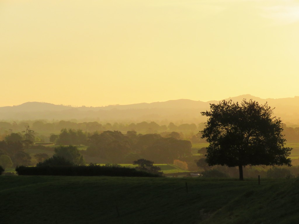 NZ: Sonnenuntergang bei Okauia 017