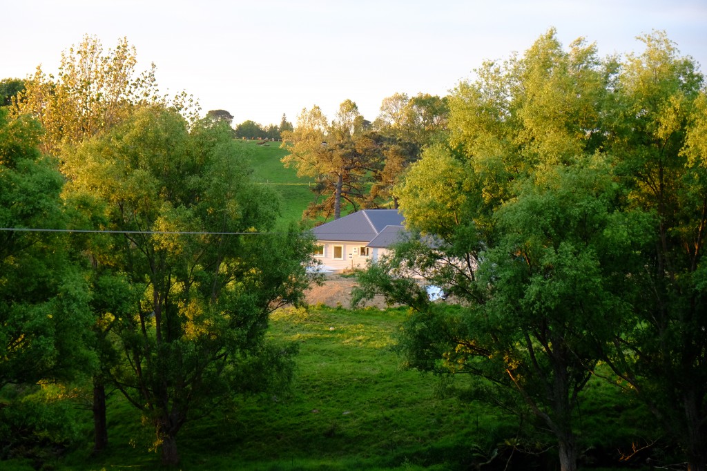 NZ: Sonnenuntergang bei Okauia 023